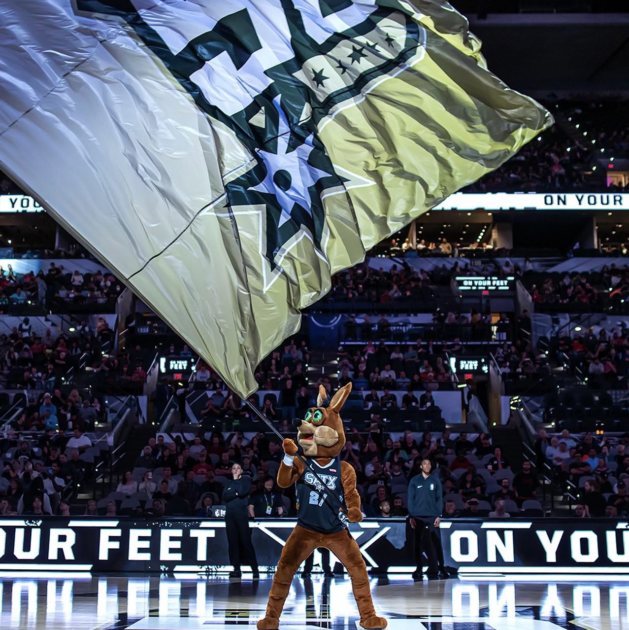 赛季的重大 赛季的重大